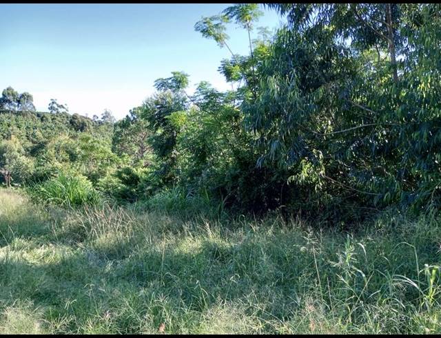 FARM FOR SALE IN RAMSGATE